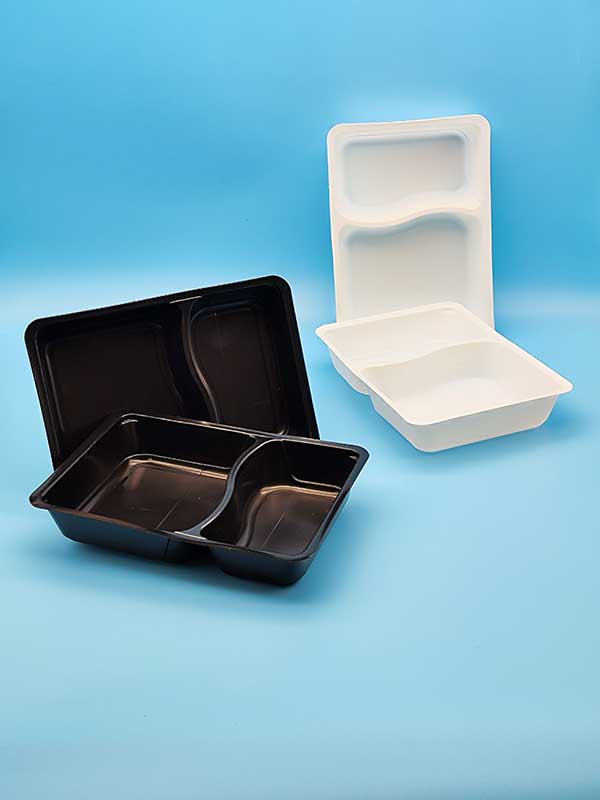 PP-Schale-650ml,-unterteilt-in-80-und-20,-145x207x40-mm