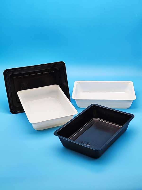 PP-Schale-750ml,-145x205x43mm